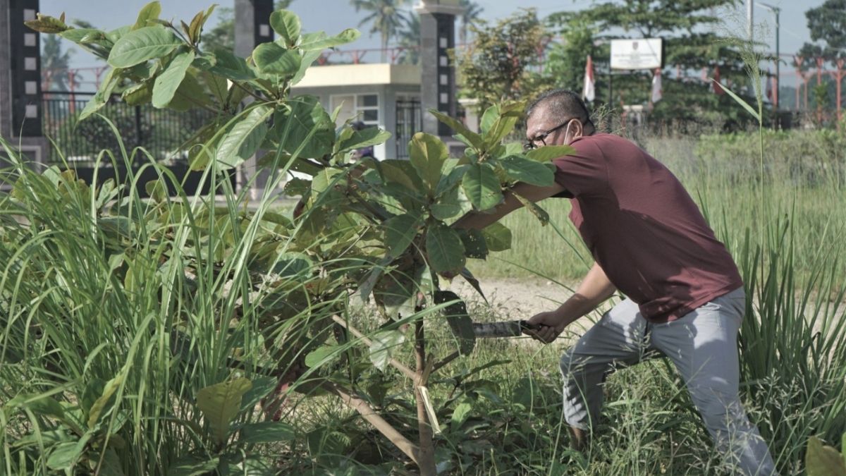 Langgam.id-Wako Payakumbuh