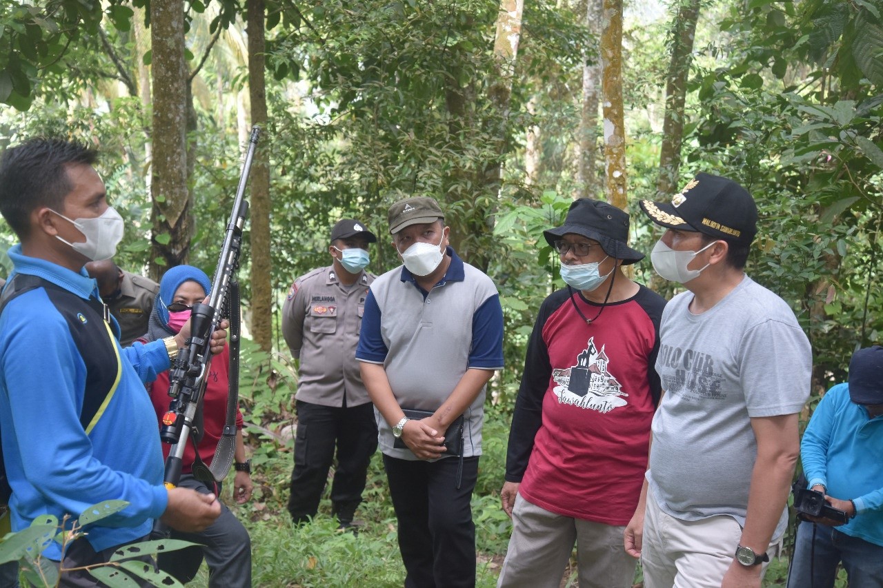 Langgam-Berburu Tupai di Sawahlunto