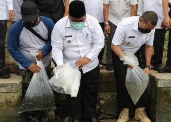 Wagub Sumbar Audy Joinaldy dan Bupati Padang Pariaman melepas benih ikan di area irigasi perairan umum ikan larangan Nagari Aie Tajun, Kecamatan Lubuk Alung. (foto: Dinas Kominfotik Sumbar)