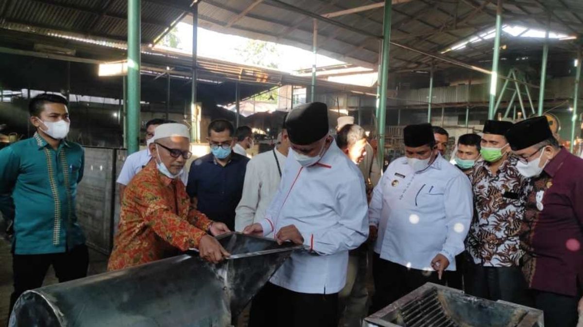 Langgam.id-Pakan Ternak