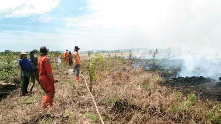 Pemadaman kebakaran lahan di Riau. (Foto: Pemprov Riau/ riau.go.id)