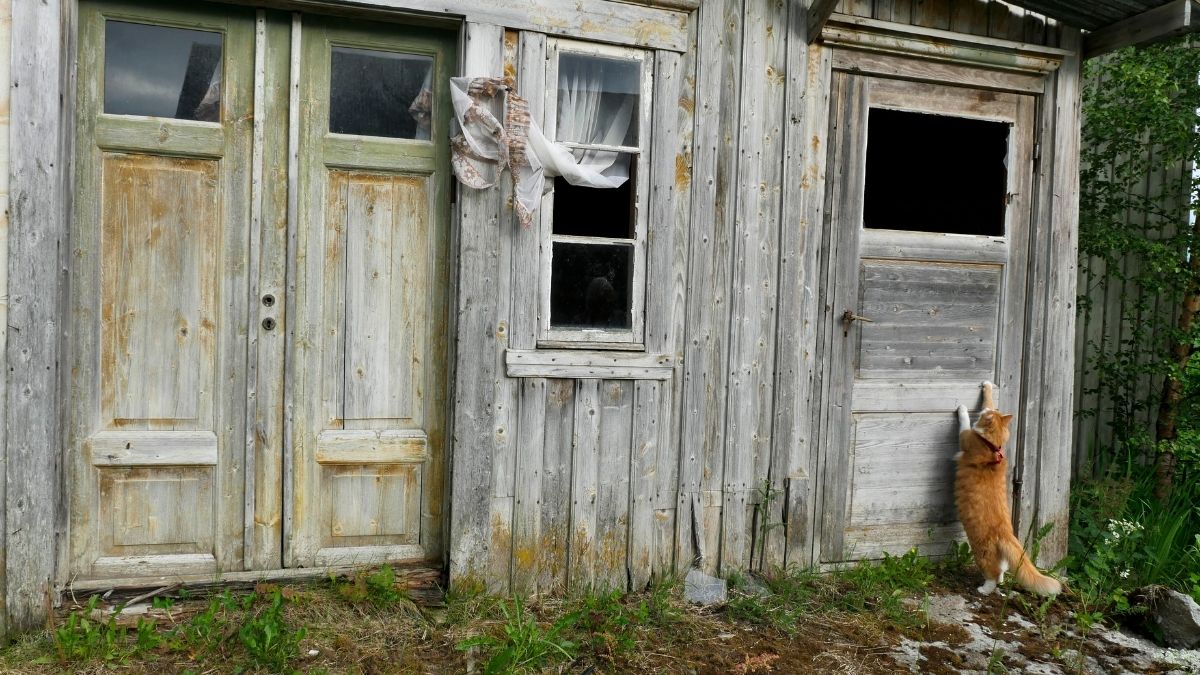 Langgam.id-rumah tidak layak huni