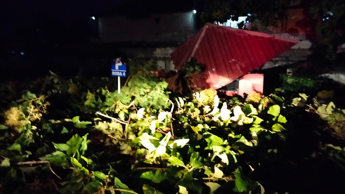 Pohon Tumbang Timpa Pendopo di Kampus UIN IB Padang Saat Mahasiswa Berteduh