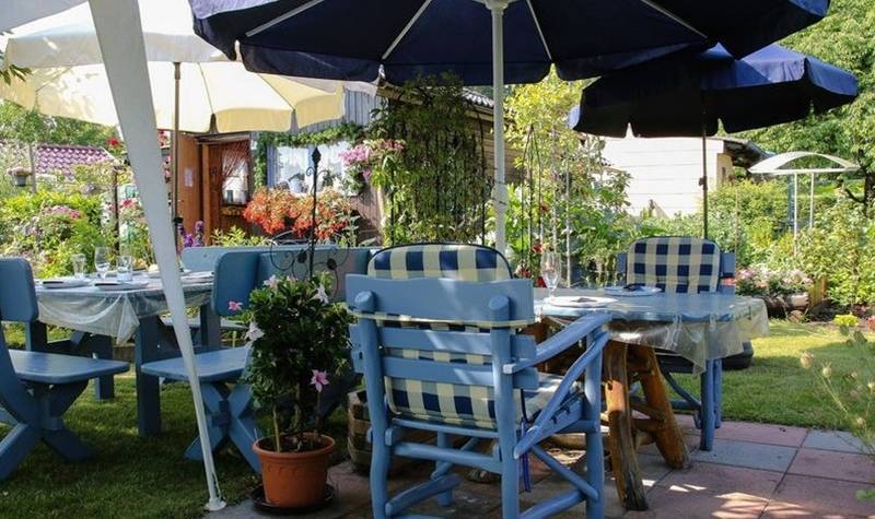 Tetangga panjat dinding