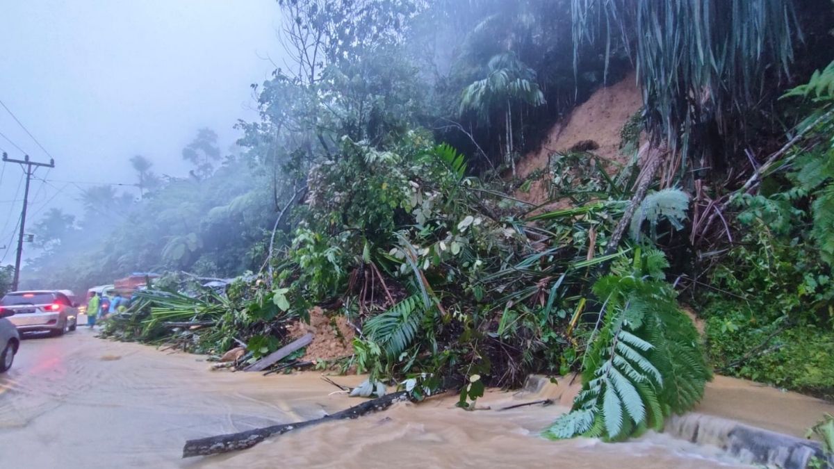 Langgam.id Longsor Sitinjau Lauik