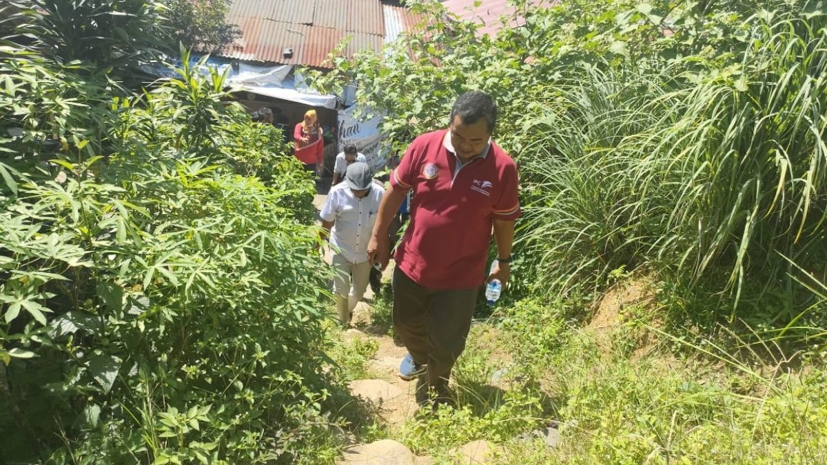 Langgam.id-Bukit Matoa