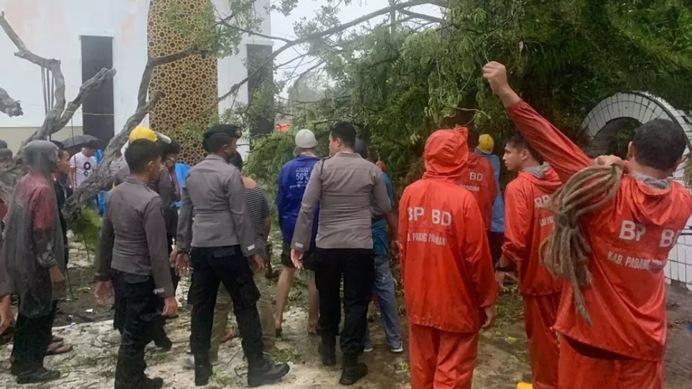 korban makam Syekh Burhanuddin