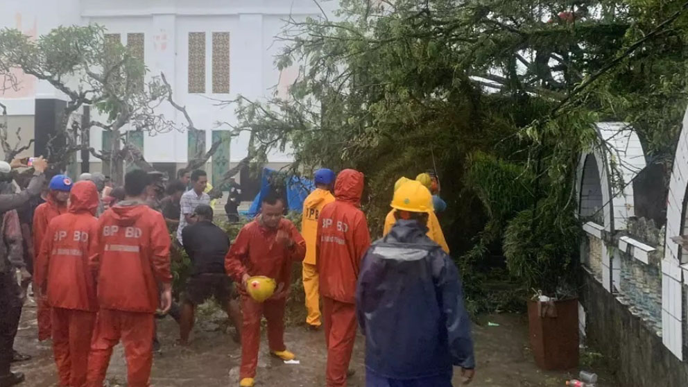pohon tumbang Makam Syekh Burhanuddin