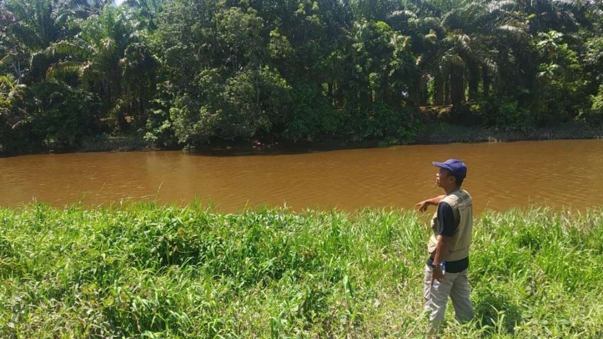 Penyiksaan rusa pesisir selatan