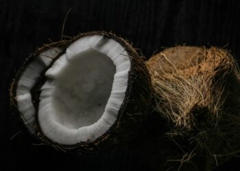 manfaat ampas kelapa