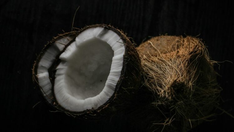 manfaat ampas kelapa