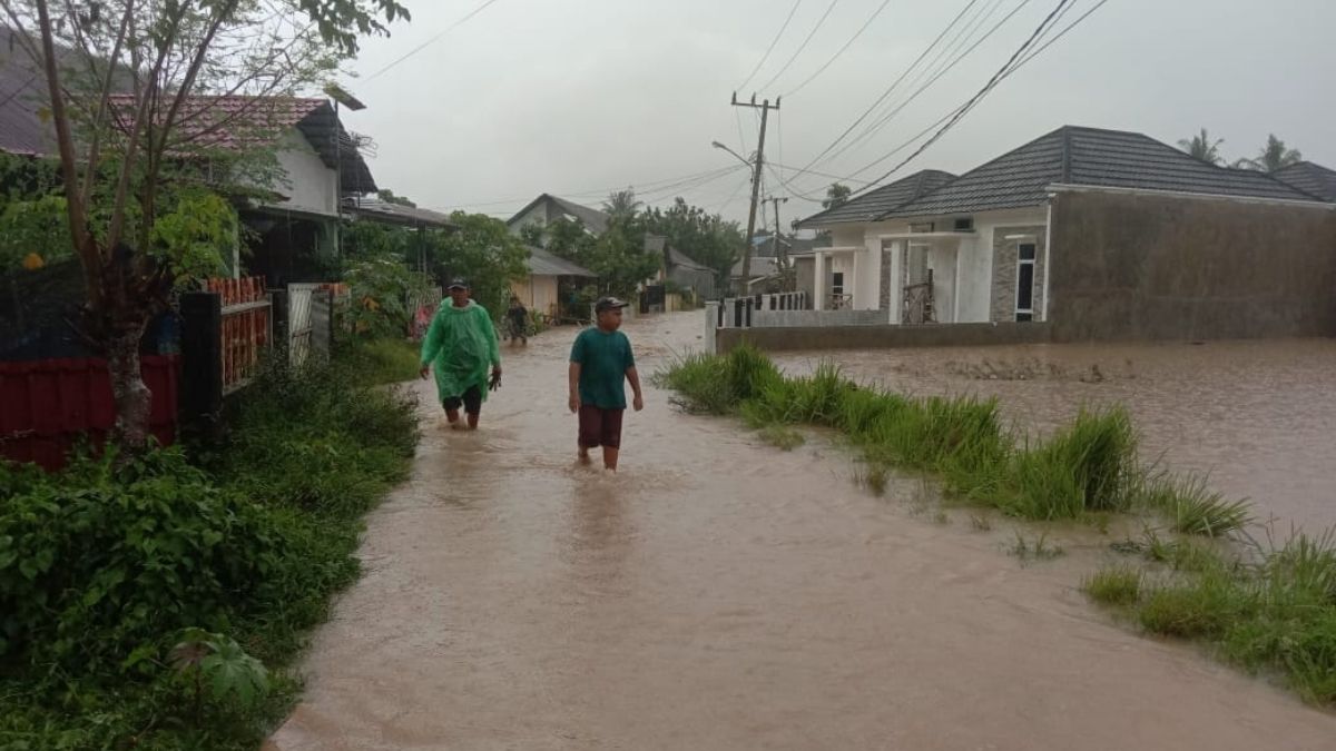 Langgam.id-banjir