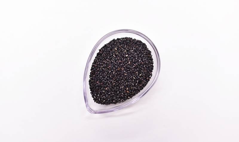 Biji Wijen Hitam - Mencegah kanker payudara