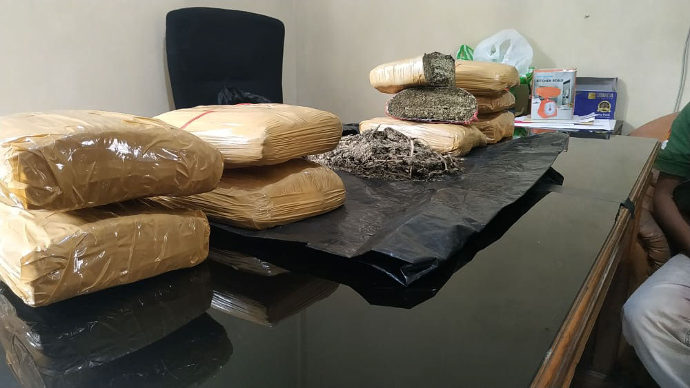 Polisi Tangkap Sindikat Pengedar di Bukittinggi, 9 Kg Ganja Disita