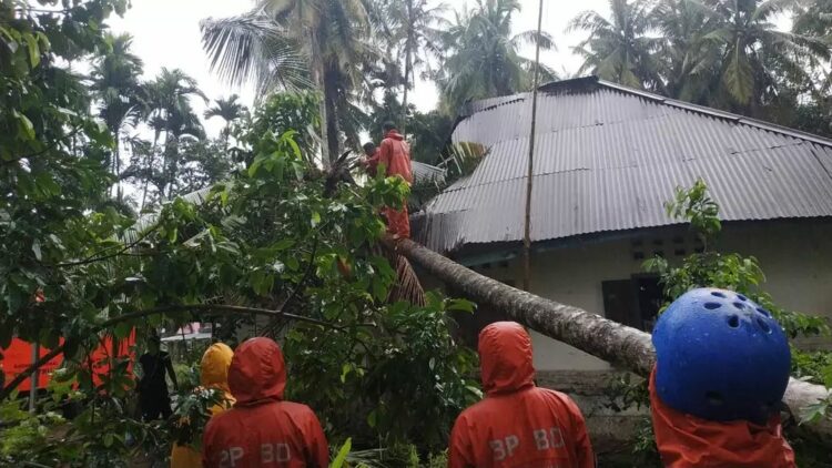 Pohon timpa rumah warga di Batang Anai. (Foto: bpbdkabpadangpariaman)
