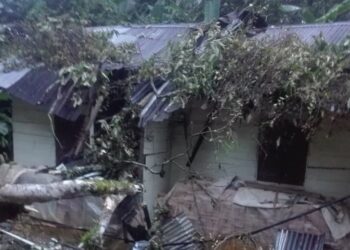 Rumah warga tertimpa pohon di Agam. (Foto: amcnews)
