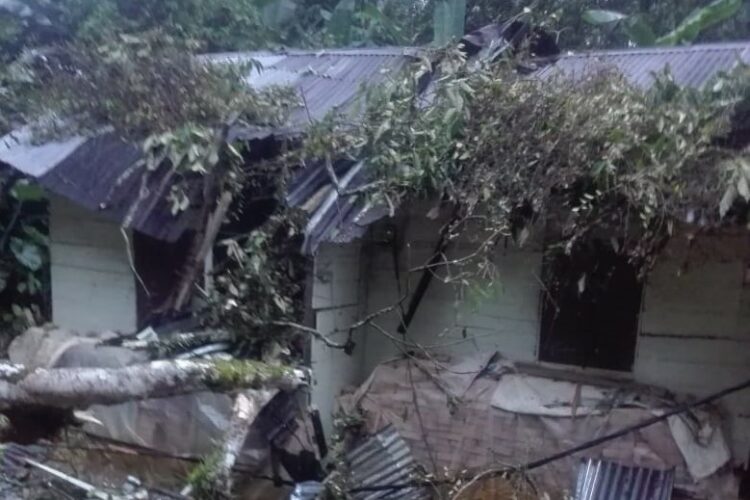 Rumah warga tertimpa pohon di Agam. (Foto: amcnews)