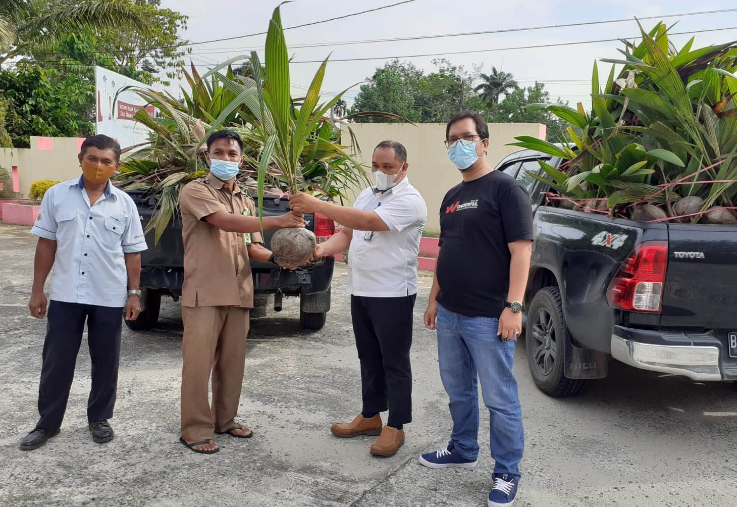 Semen Padang Bantu 1.000 Bibit Kelapa Dalam untuk Petani Dharmasraya