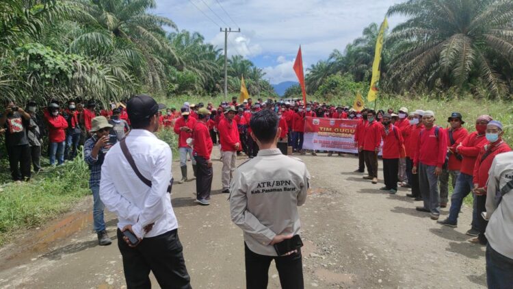 atusan anggota Serikat Petani Indonesia (SPI) Basis Aia Gadang, menghadiri proses peninjauan lapangan di area PT Anam Koto. [foto: Ian/langgam.id]