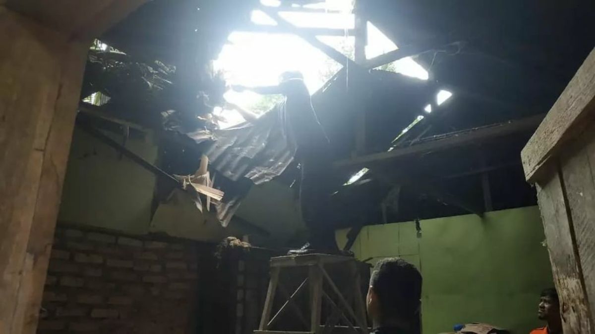 Langgam.id-pohon tumbang