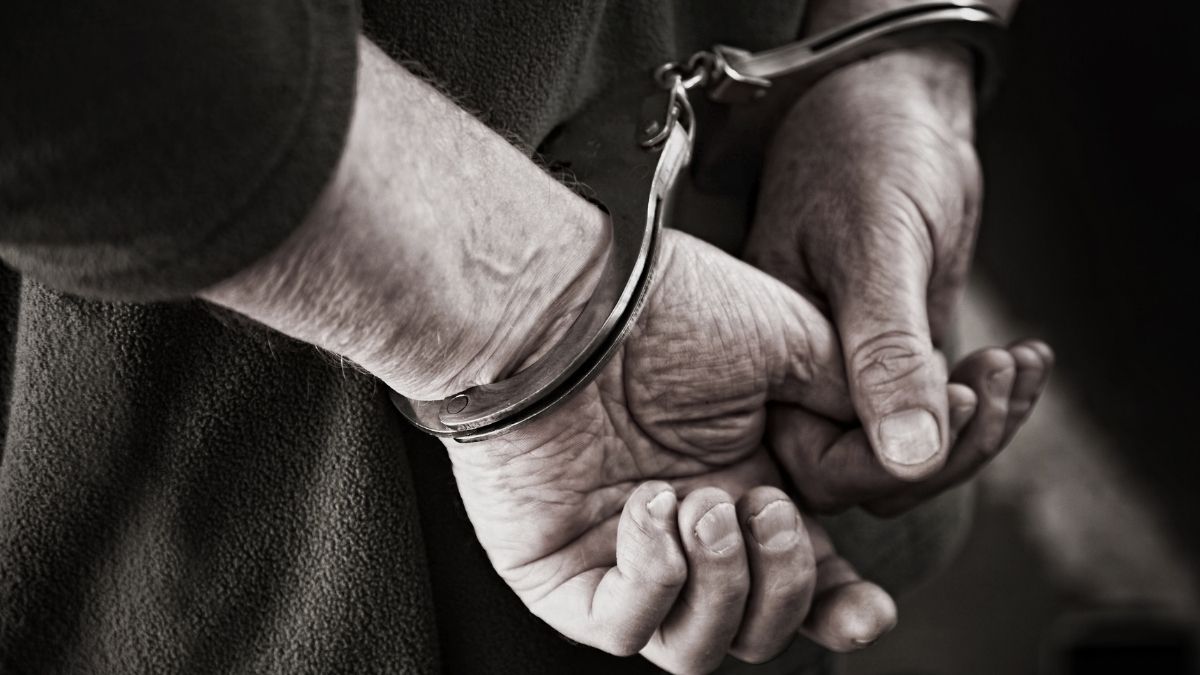 Langgam.id-penangkapan