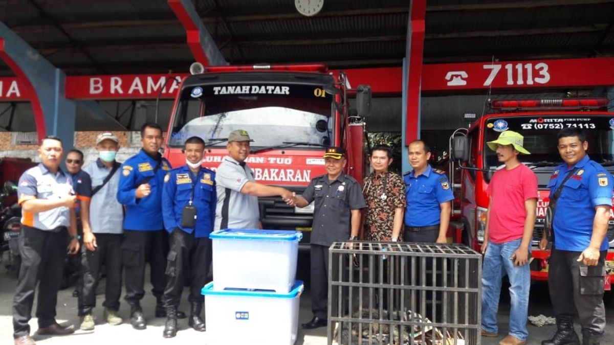 Langgam.id-Binturong