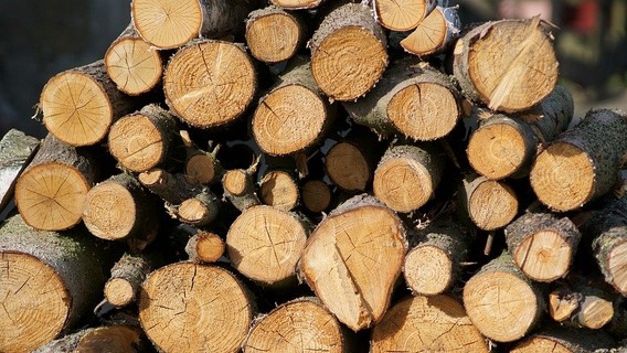 Polisi Tangkap 2 Tersangka Tindak Pidana Ilegal Logging di Pesisir Selatan