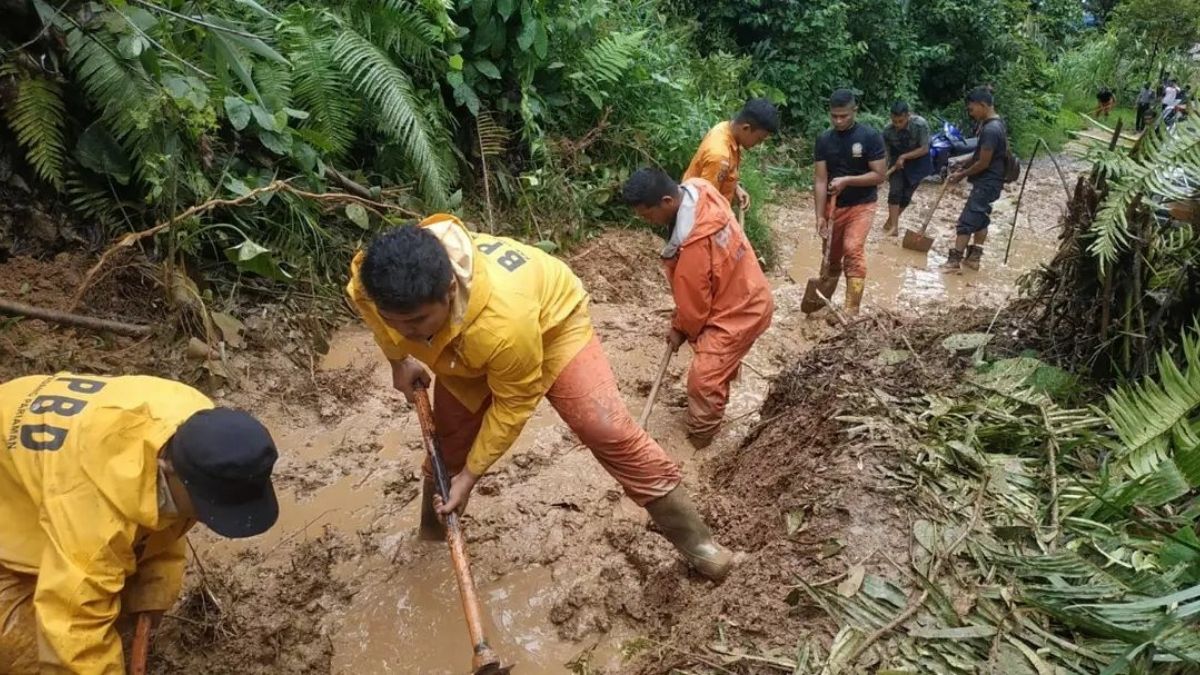 Langgam.id-longsor di Padang Pariaman