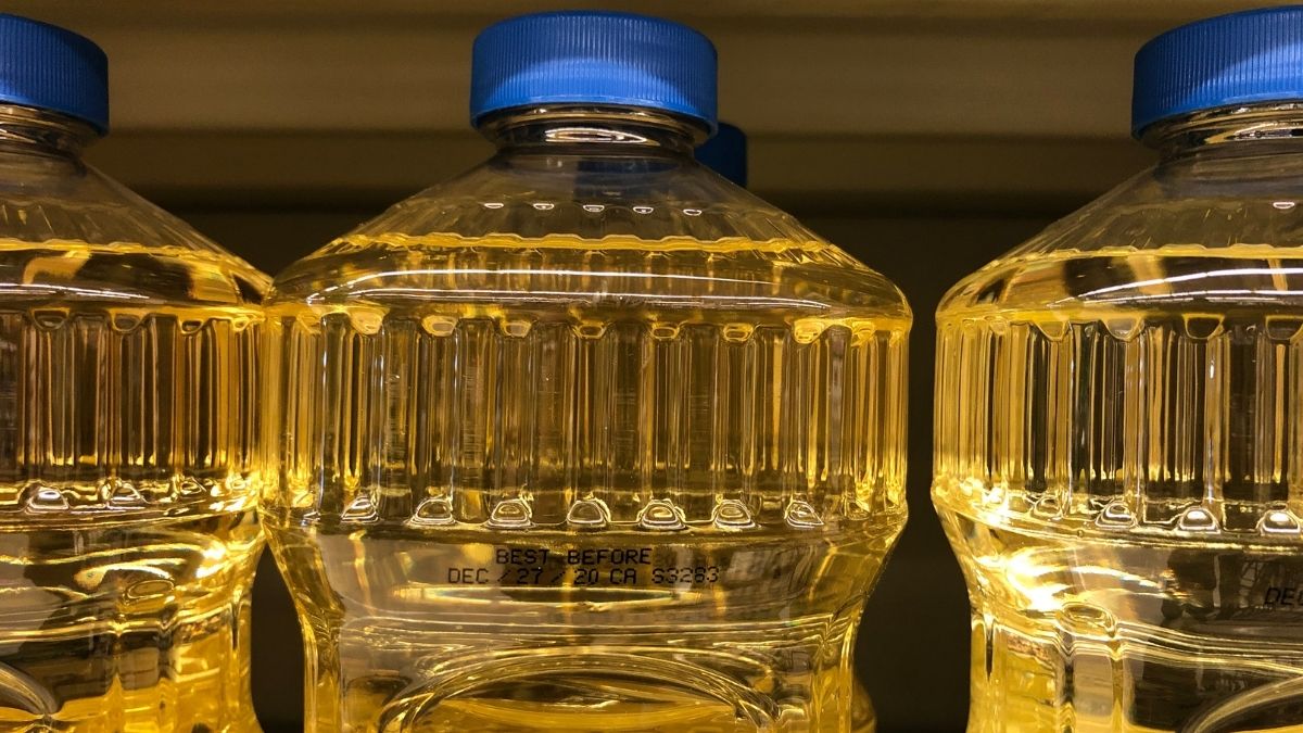 Langgam.id-minyak goreng