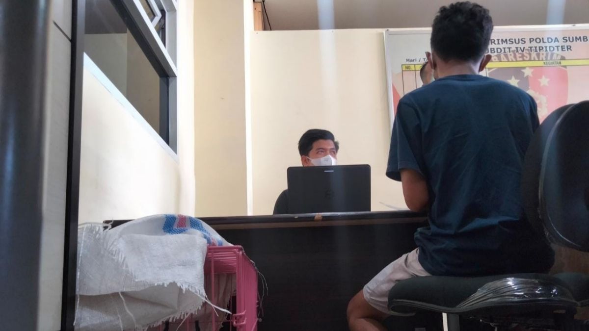 Langgam.id-penjual satwa