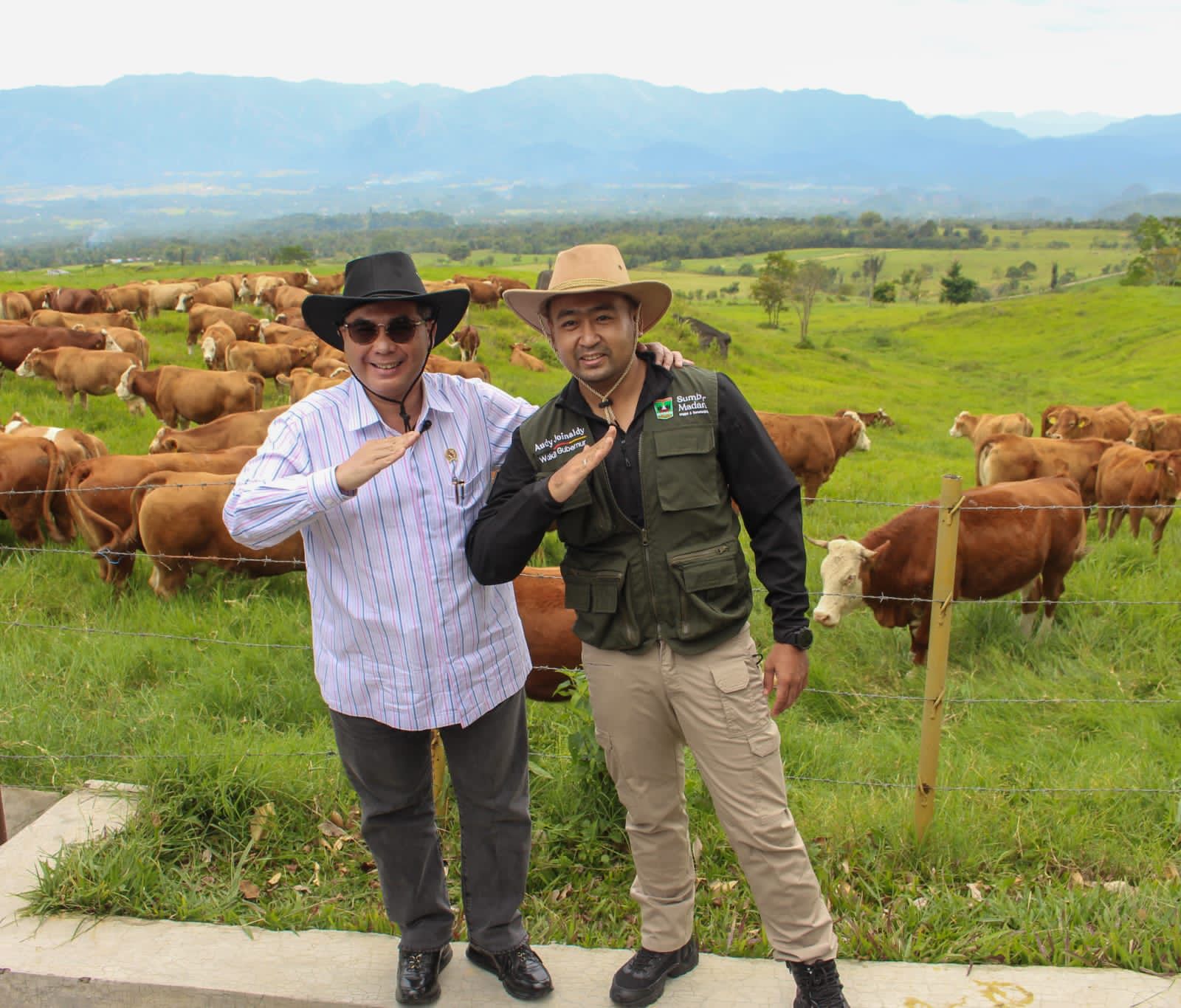 Selain Tempat Wisata, BPTU Padang Mangateh Jadi Solusi Defisit Sapi di Indonesia