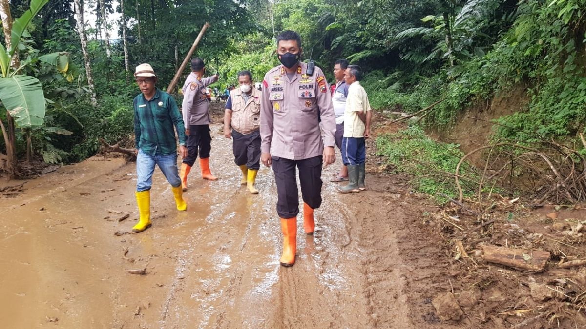 Langgam.id-jalan provinsi