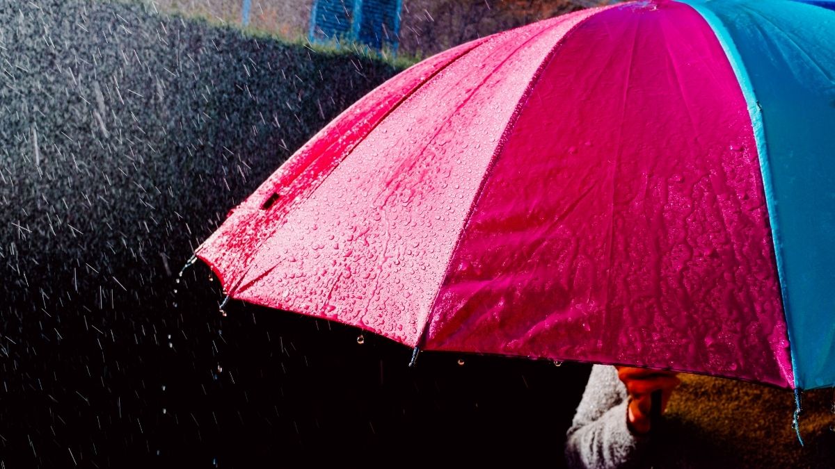 Langgam.id-hujan ringan