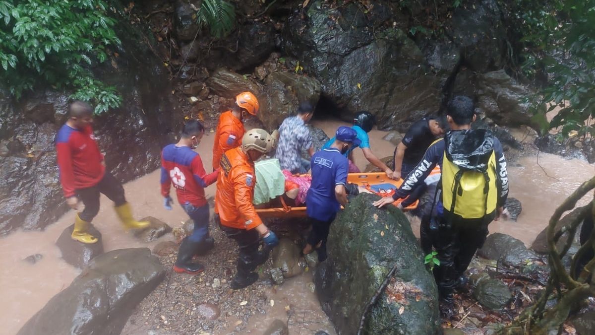 Langgam.id-terjun ke jurang