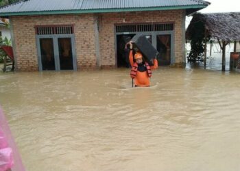 Banjir di Pasaman (Foto: langgam.id)