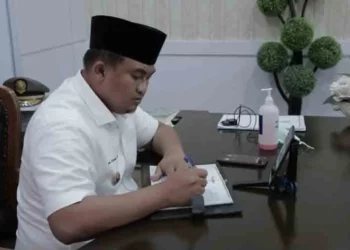 Ketua Umum Asosiasi Pemerintah Kabupaten Seluruh Indonesia (Apkasi), Sutan Riska Tuanku Kerajaan.