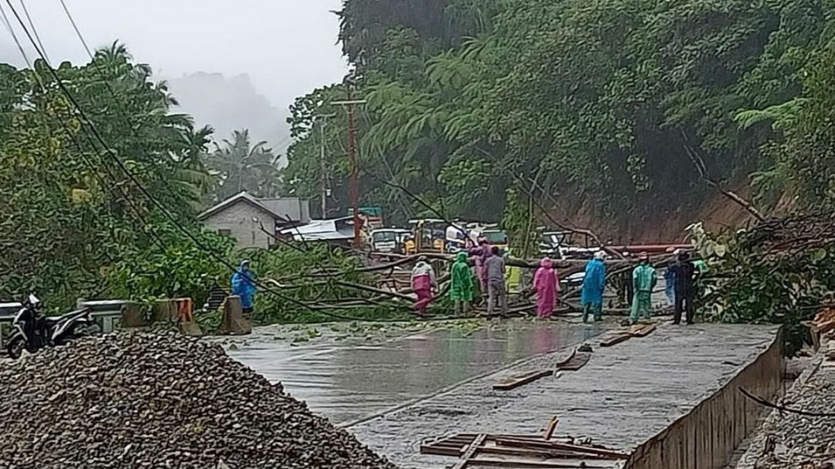 Langgam.id-pohon tumbang