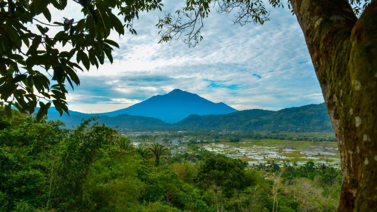 Langgam.id-Nagari Sinuruik