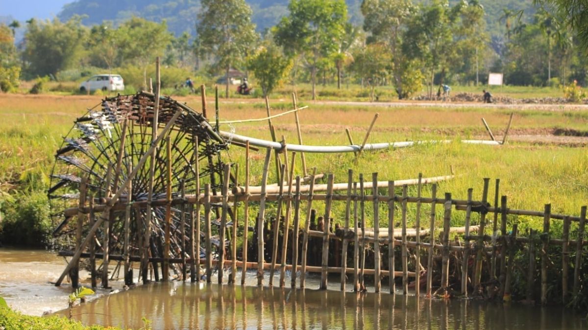 Langgam.id-Nagari Sinuruik