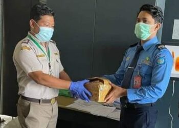 Petugas BIM serahkan seekor ular piton ke petugas Karantina Pertanian Padang (Foto: infopublik.id)