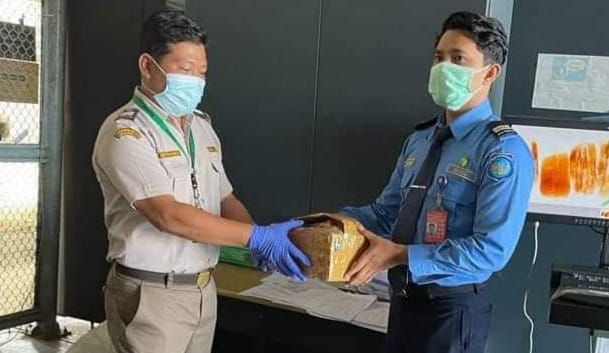 Petugas BIM serahkan seekor ular piton ke petugas Karantina Pertanian Padang (Foto: infopublik.id)
