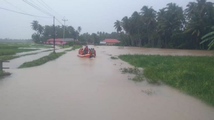 Langgam.id-Banjir di Padang Pariaman