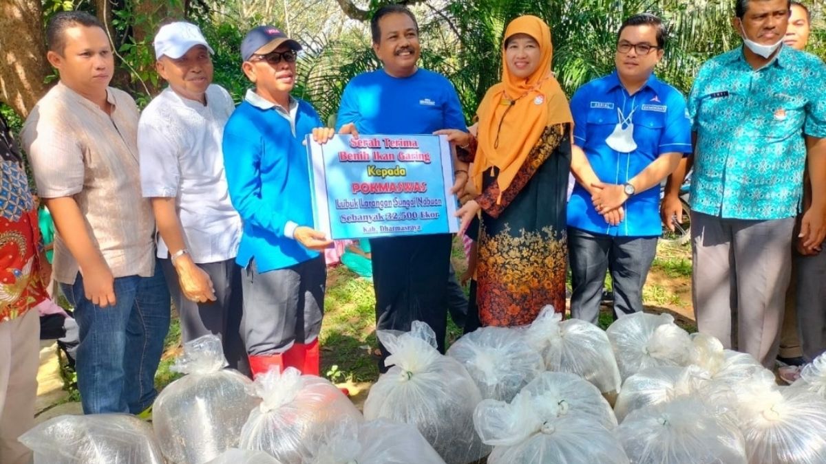 Langgam.id-bibit ikan garing