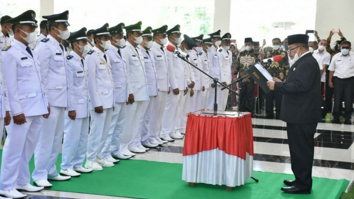 Langgam.id-wali nagari