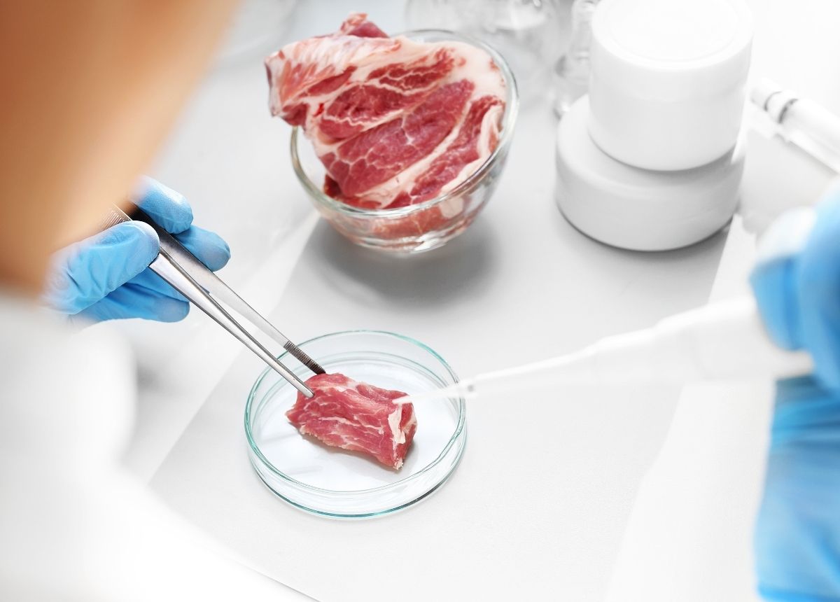 BPOM Padang menduga penyebab keracunan puluhan siswa SDN 29 Gunung Sariak, Kecamatan Kuranji, Kota Padang karena mikroba.