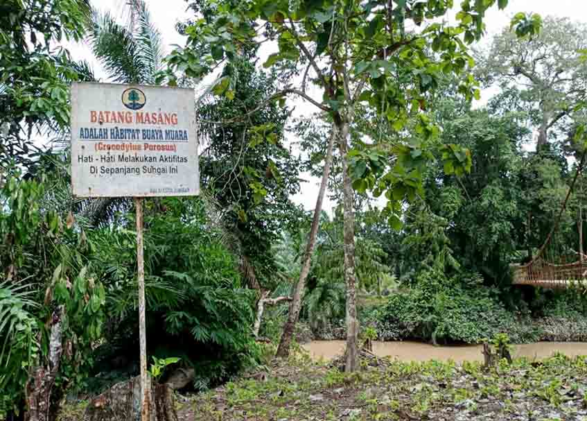 Berita Agam - berita Sumbar terbaru dan terkini hari ini: Bocah perempuan yang diterkam buaya di Agam itu ditemukan meninggal dunia.