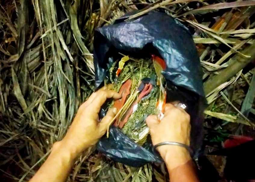 Berita Pessel - berita Sumbar terbaru dan terkini hari ini: Ibu rumah tangga yang diduga edarkan Ganja itu ditangkap saat tidur di rumahnya.