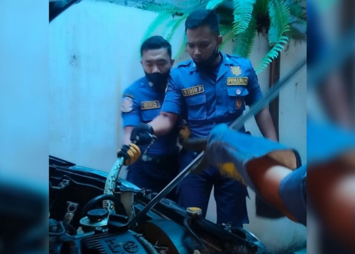 Berita Padang - berita Sumbar terbaru dan terkini hari ini: Seekor ular piton ditemukan berada di dalam kap mesin sebuah mobil di Padang.