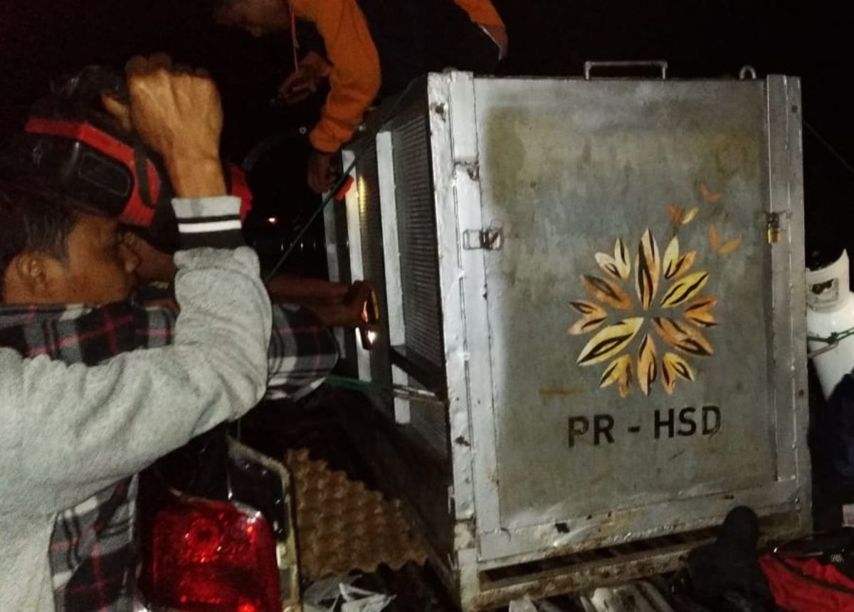 Berita Solok Selatan - berita Sumbar terbaru dan terkini hari ini: Seekor beruang madu terkena jerat di ladang milik warga di Solok Selatan.