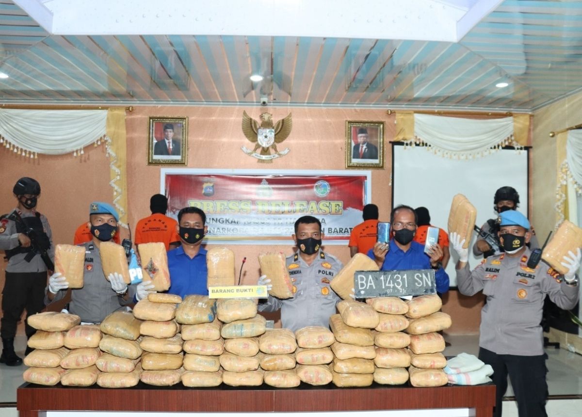 Tim Opsnal Satres Narkoba Polres Pasaman Barat menangkap empat tersangka pengedar ganja lintas provinsi, Jumat (7/1/2022) dini hari. Petugas